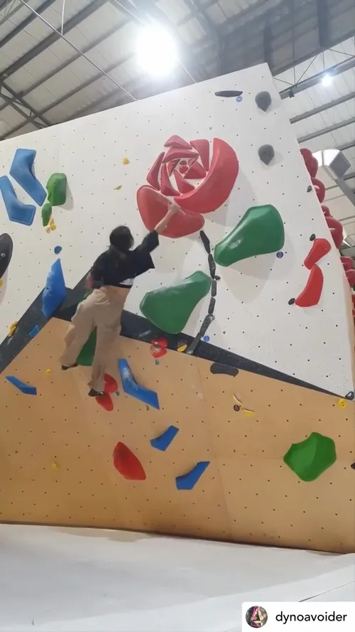 https://www.instagram.com/stonegoat_beta/reel/DFritd_SJli/